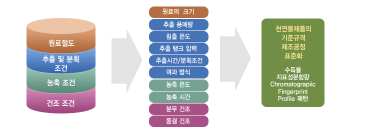 (주)글로벌헬스케어의 제조공정표준화